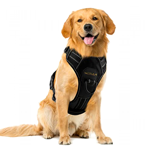Consigue el Mejor Arn&eacute;s para tu Perro: Arn&eacute;s Antitirones, Transpirable, con Manija y Reflectantes
