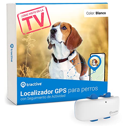 Localiza a tu perro en tiempo real con el Localizador GPS Tractive: Compatible con todos los collares