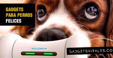 mejores dispositivos tecnologicos para perros, gadgets para hacer feliz a tu mascota