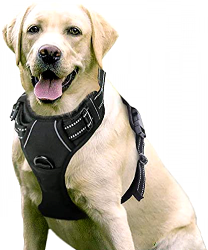 &iexcl;Consigue el Mejor Arn&eacute;s para Perros Grandes, Medianos y Peque&ntilde;os: C&oacute;modo, Transpirable, Acolchado y Ajustable