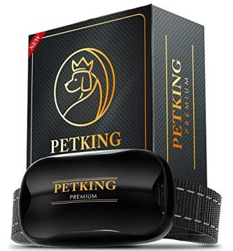 Collar Antiladridos para Perros Pequeños y Grandes PetKing Premium. Collar Adiestramento Perros Collares Anti Ladridos Dispositivo Antiladrido Collare Entrenamiento Vibración